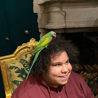 BigBen Beatbox and a parakeet